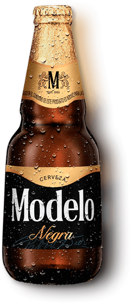 Descubre el proceso de la Maestría cervecera y las variantes de Cerveza  Modelo